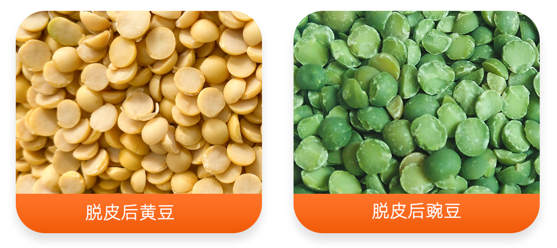 YHT700大型智能黃豆脫皮機(jī)產(chǎn)成品圖