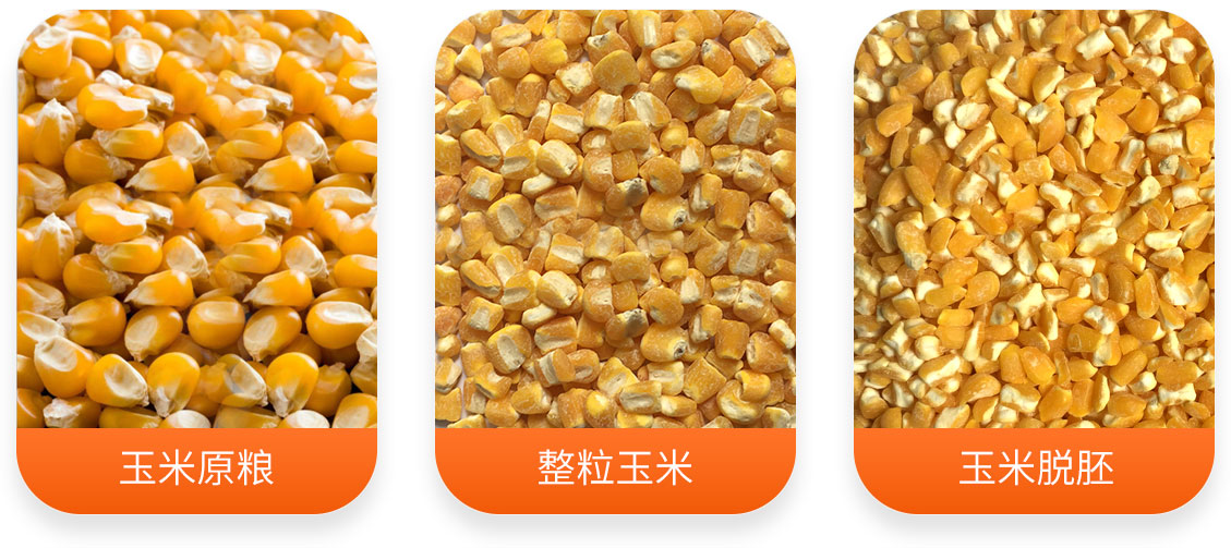 HTPY立式玉米搓揉脫胚機產(chǎn)成品圖