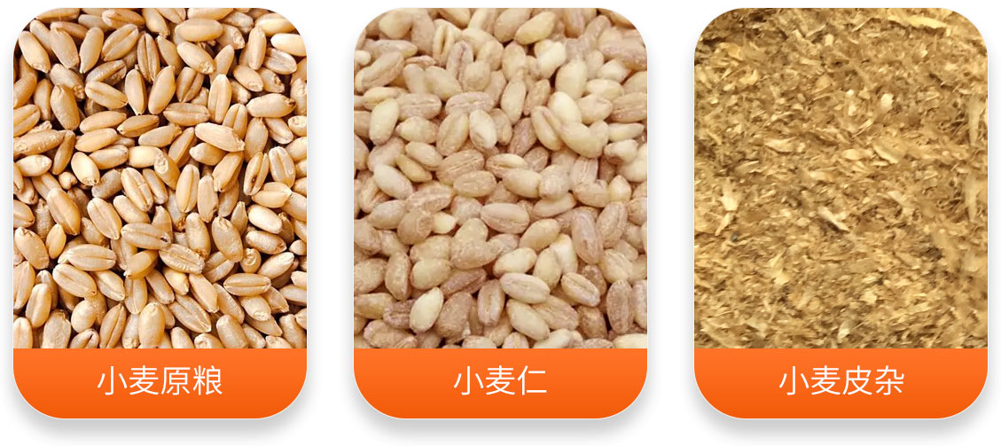 HTX系列小麥脫皮機產成品圖