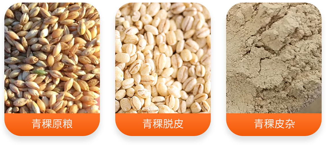 青稞制米制粉加工成套設備產成品圖
