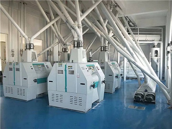 陜西日產(chǎn)500噸玉米面加工成套設(shè)備安裝完成