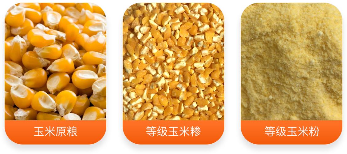 玉米制糝制粉成套設備產成品圖