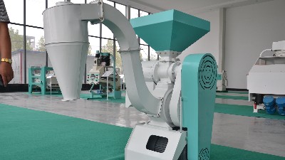 農村小雜糧加工行業的前景怎么樣？