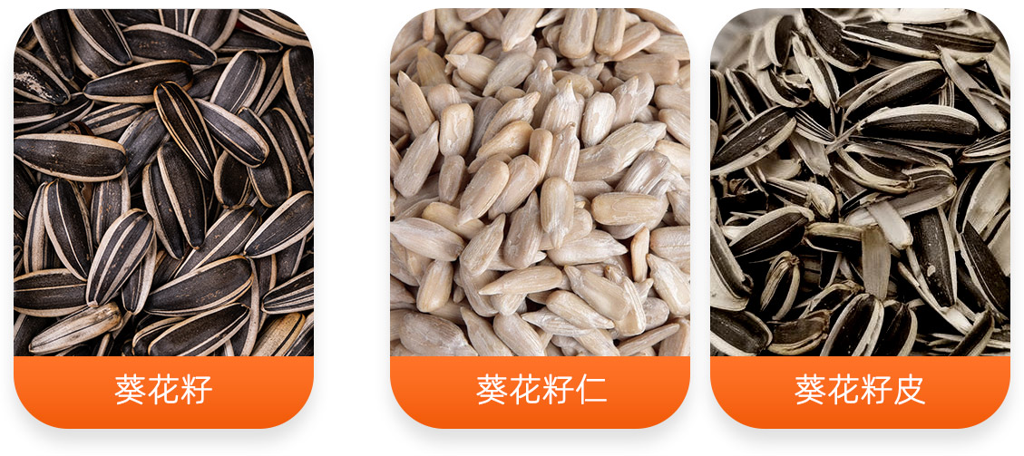 LTKH系列葵花籽脫皮機產成品圖