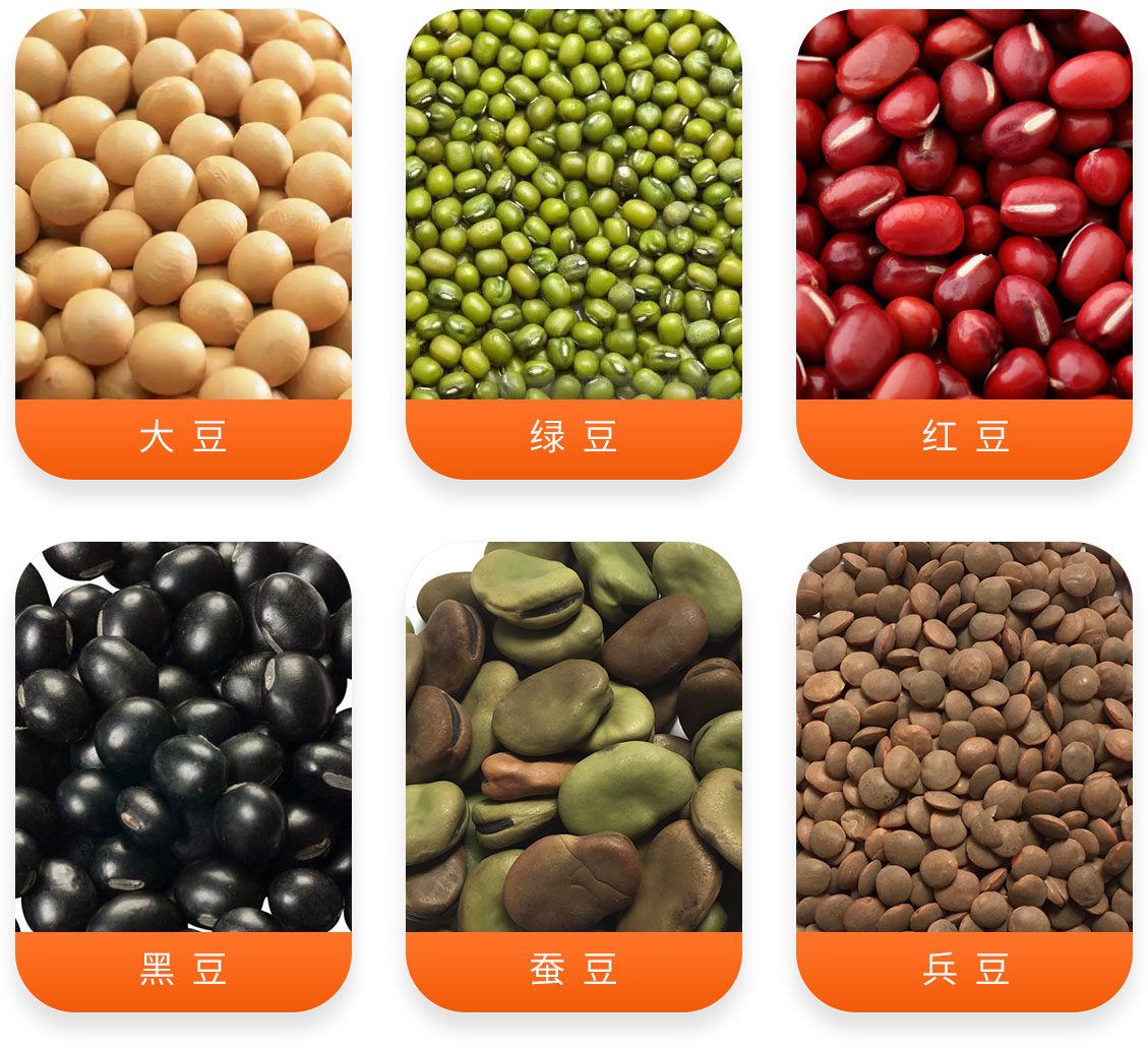 豆類清理精選成套設備產成品圖