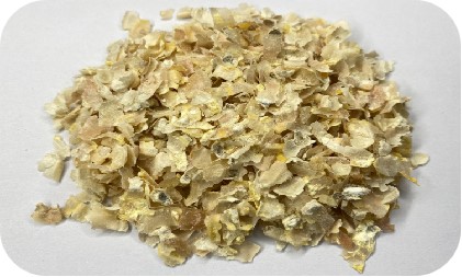 去胚后的玉米糝