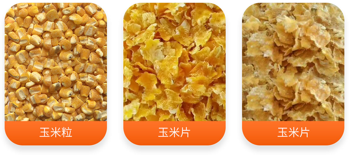 玉米壓片生產線產成品圖