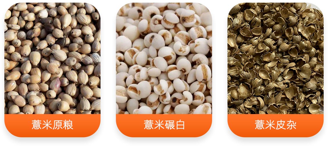 薏米加工成套設備產成品圖