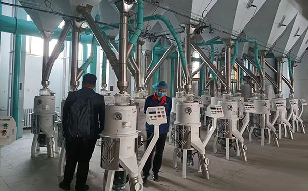 苦蕎茶成套加工設備實拍圖片