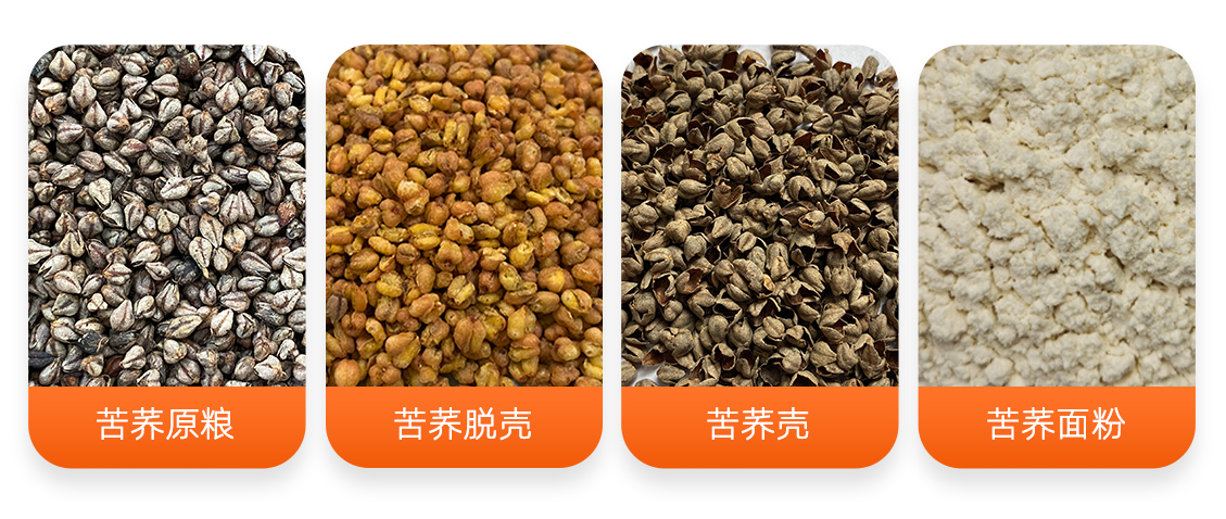 苦蕎麥加工成套設備產成品圖