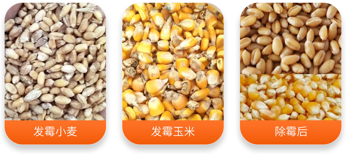智能小麥玉米真菌毒素消減機產(chǎn)成品圖