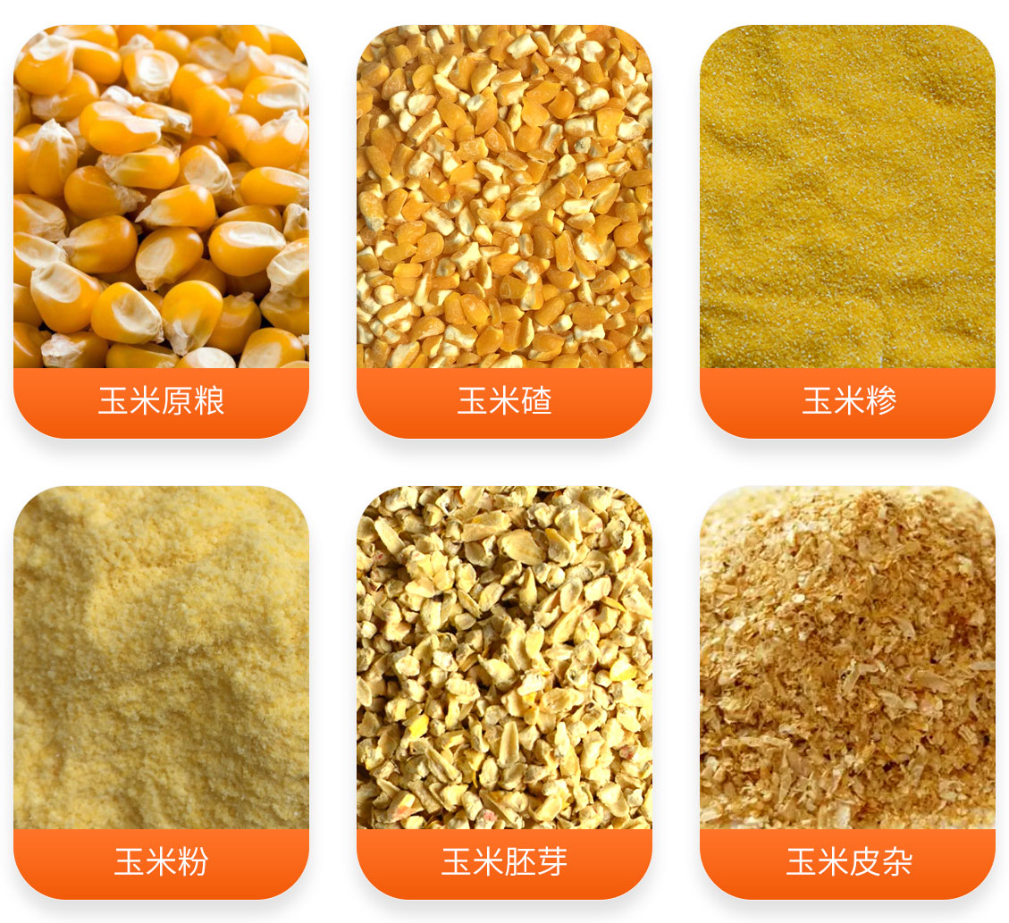 玉米提胚芽制糝制粉成套設備產成品圖