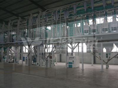 山東濰坊100噸玉米加工廠成套設備