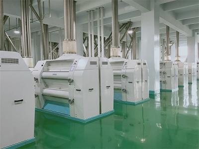 四川日產100噸小麥制粉設備生產中