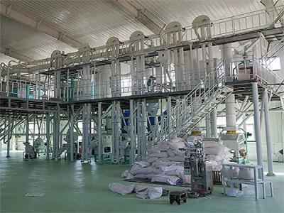 內(nèi)蒙古日產(chǎn)200噸玉米深加工設(shè)備加工現(xiàn)場圖