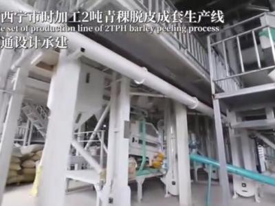 西寧新綠康青稞脫皮生產線