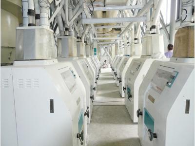 河北日產(chǎn)600噸面粉加工設(shè)備現(xiàn)場